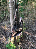 Turkey Tote with Metal Rings